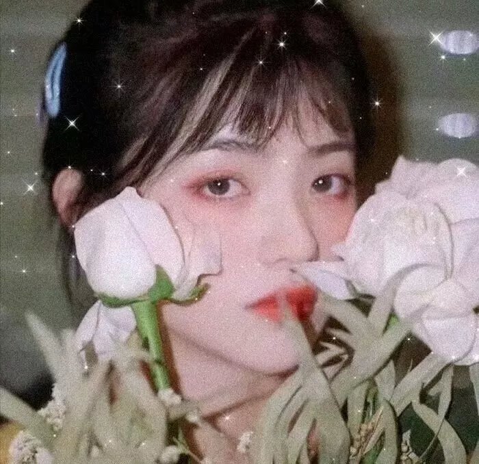 少女特工队